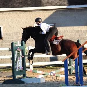 Meet your Posher, Max